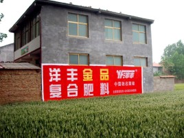 宜昌如何让墙体广告展现最大化效果