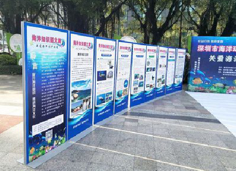 宜昌KT板的种类和知识。